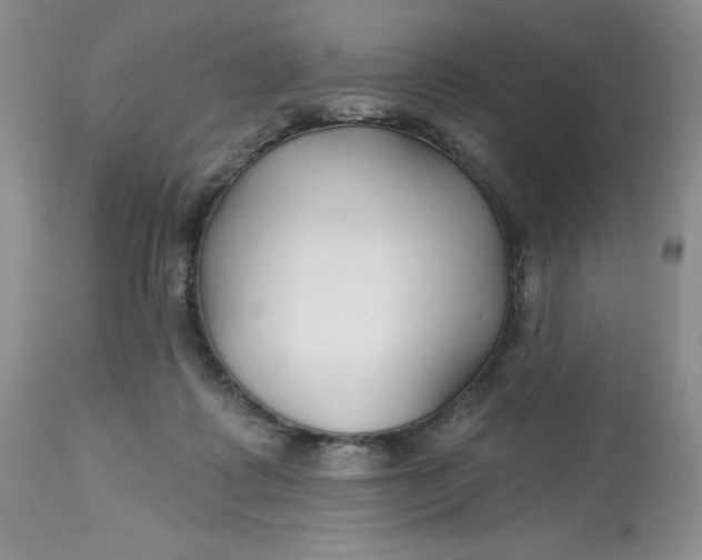 X0000112800315200909111242