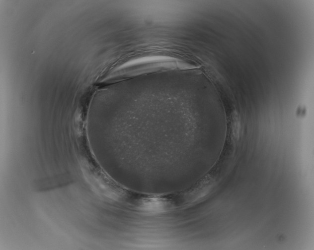 X0000112800316200909111242