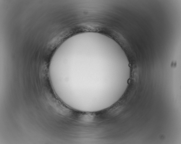 X0000112800318200909111242