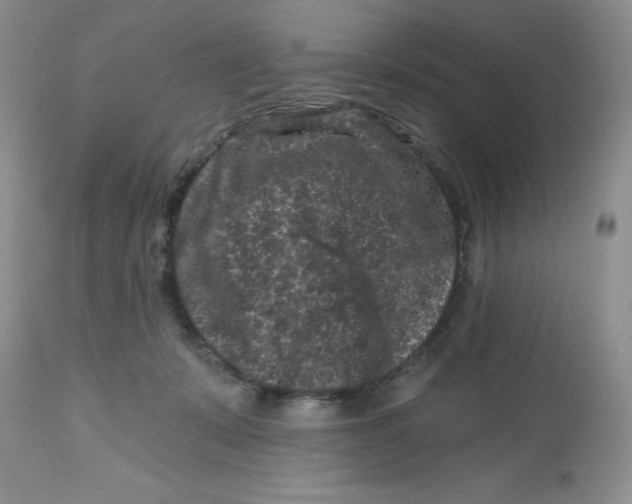 X0000112800319200909111242