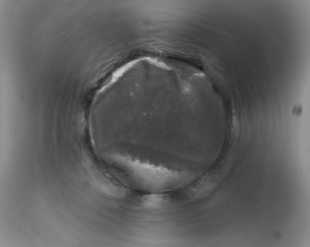 X0000112800320200909111242