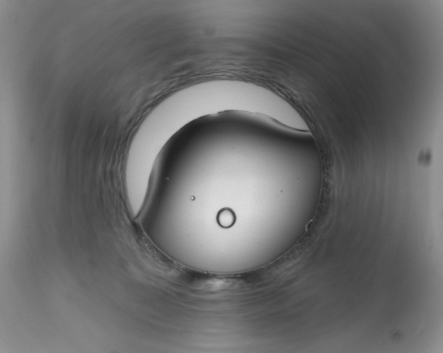 X0000112800323200909111242