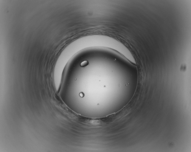 X0000112800324200909111242