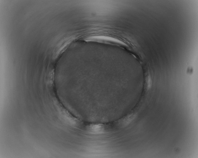 X0000112800325200909111242