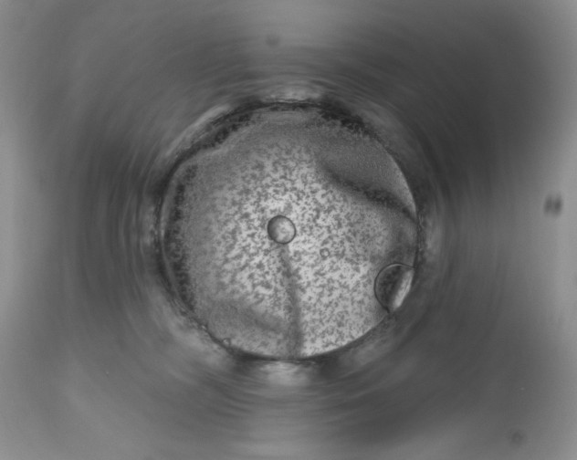 X0000112800326200909111242