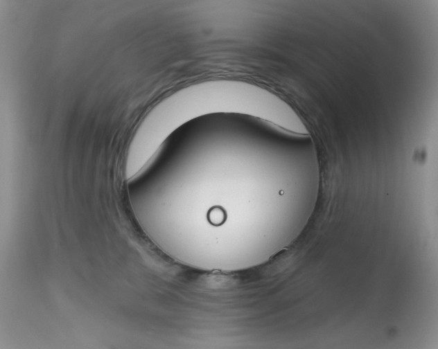 X0000112800327200909111242