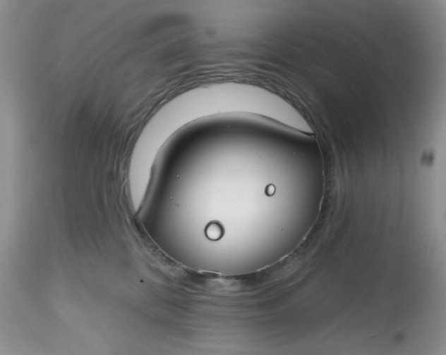 X0000112800328200909111242