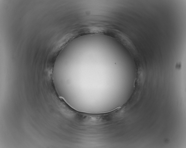 X0000112800329200909111242