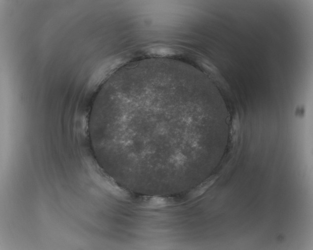 X0000112800330200909111242