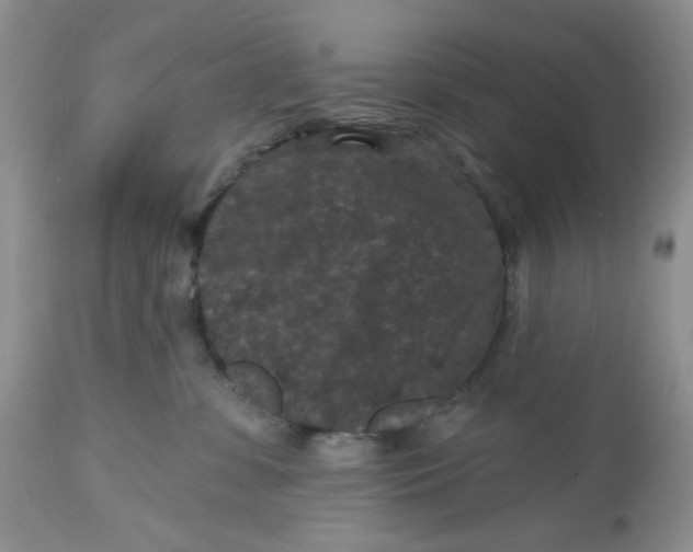 X0000112800331200909111242