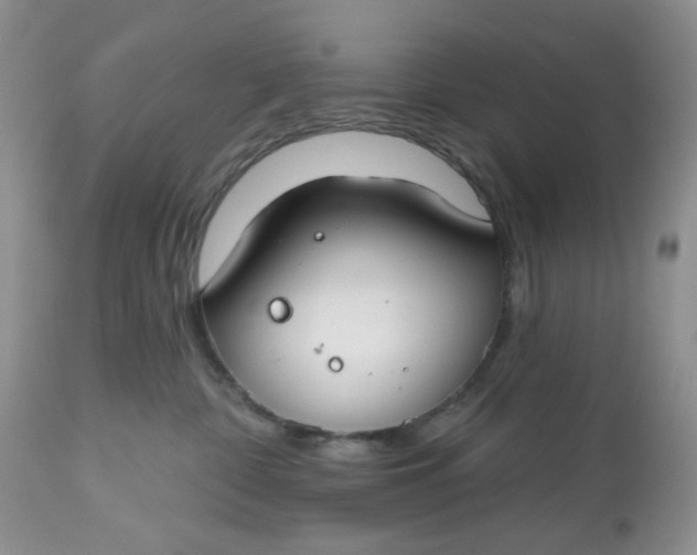 X0000112800332200909111242