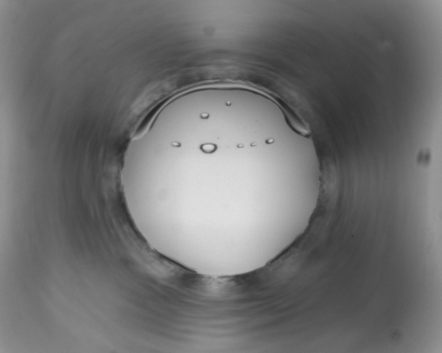 X0000112800333200909111241