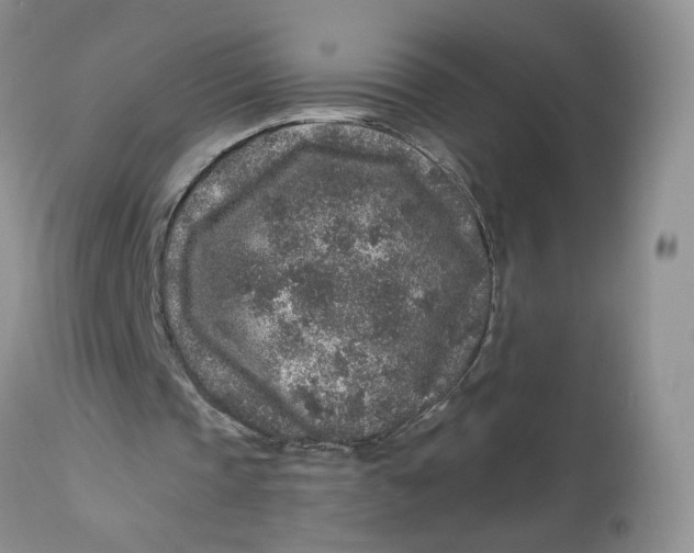 X0000112800337200909111241