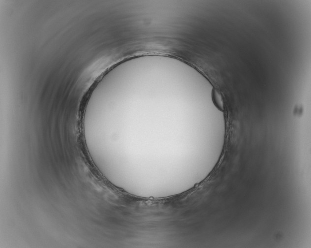 X0000112800338200909111241