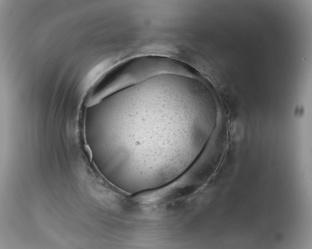 X0000112800340200909111241