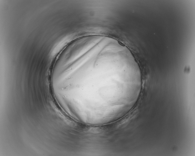 X0000112800341200909111241