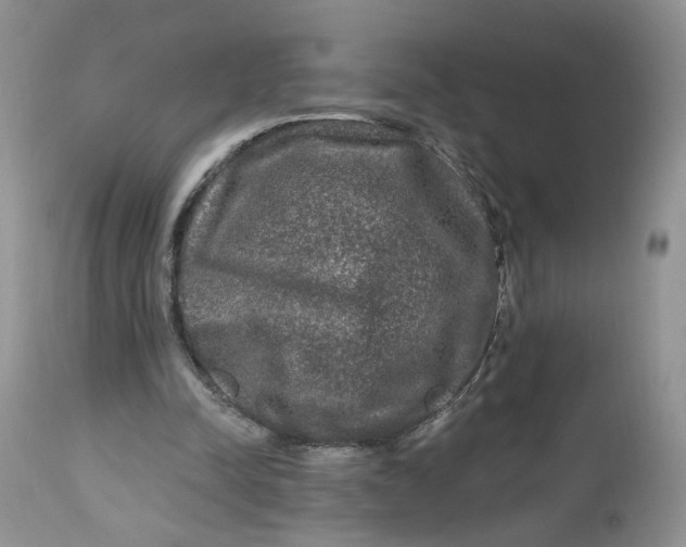 X0000112800342200909111241