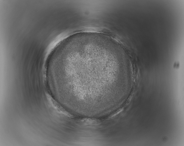 X0000112800343200909111241