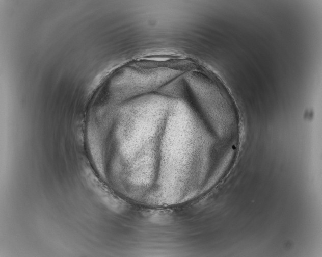 X0000112800345200909111241