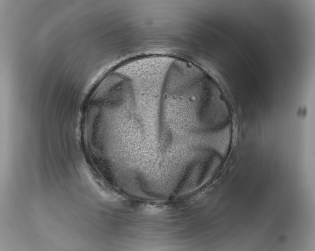 X0000112800346200909111241