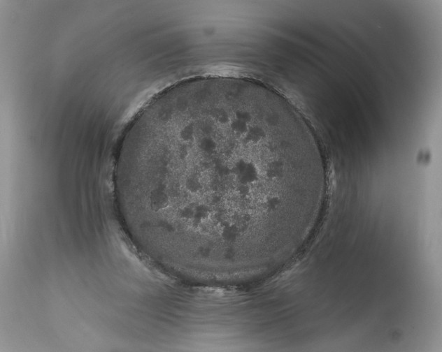 X0000112800347200909111241