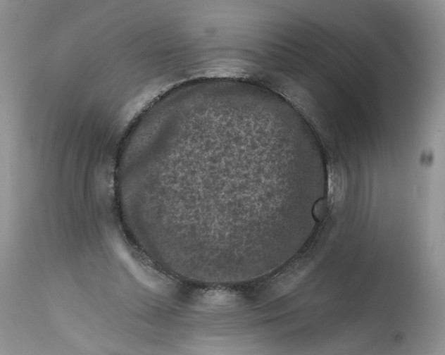 X0000112800348200909111241