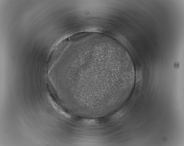 X0000112800349200909111241