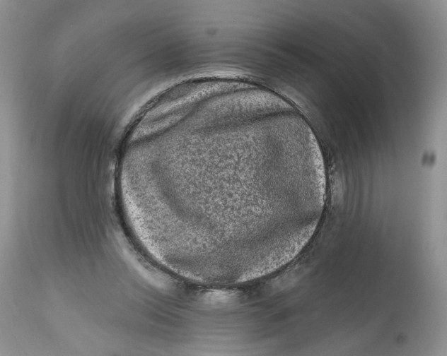 X0000112800350200909111241