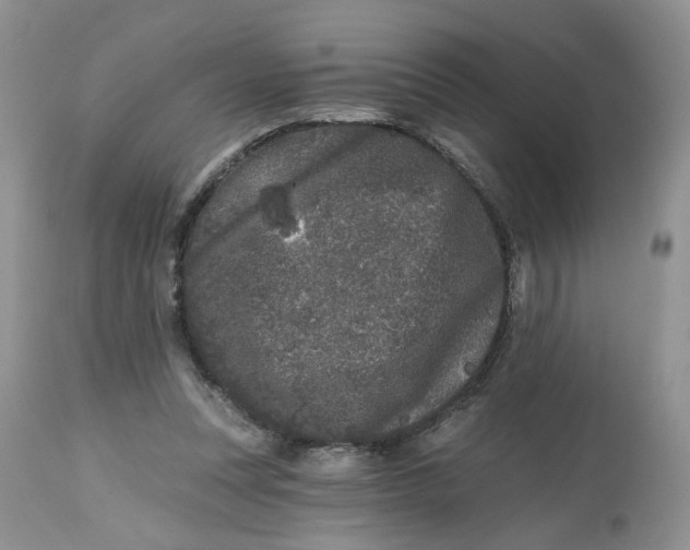 X0000112800351200909111241