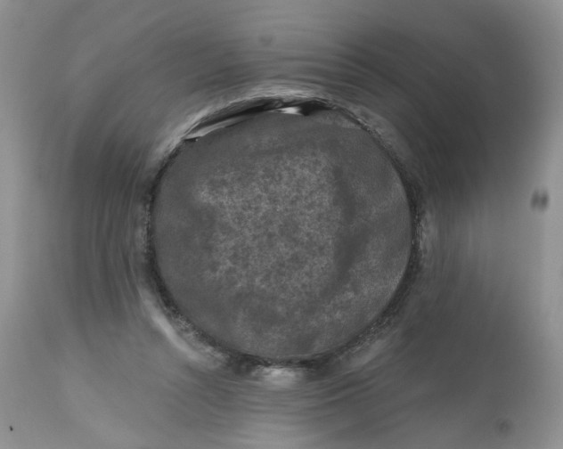 X0000112800352200909111241