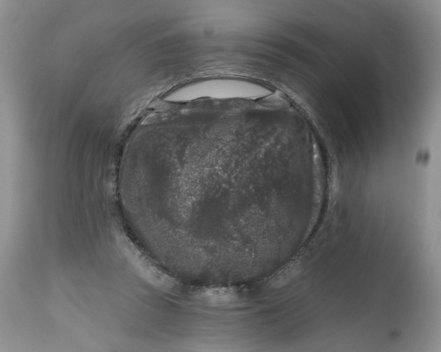 X0000112800353200909111241