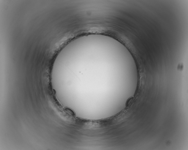 X0000112800354200909111241