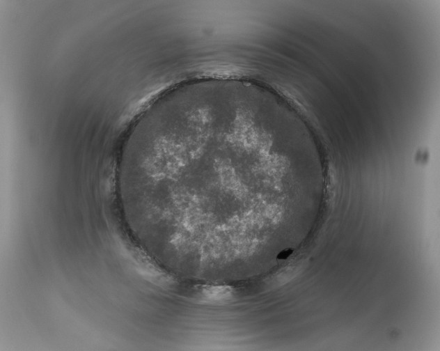 X0000112800355200909111241