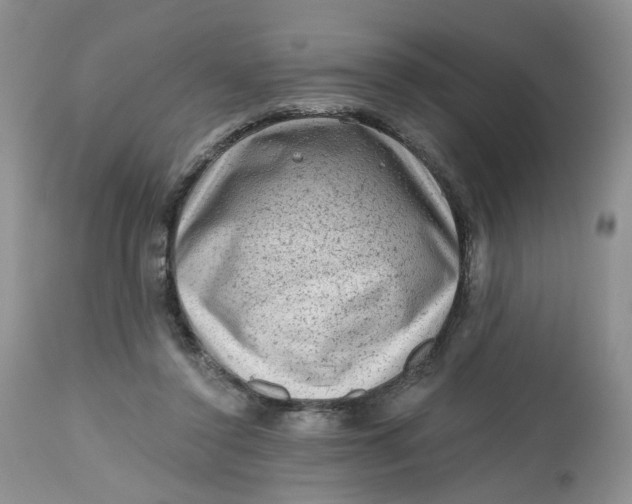 X0000112800356200909111241