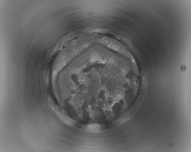 X0000112800357200909111241