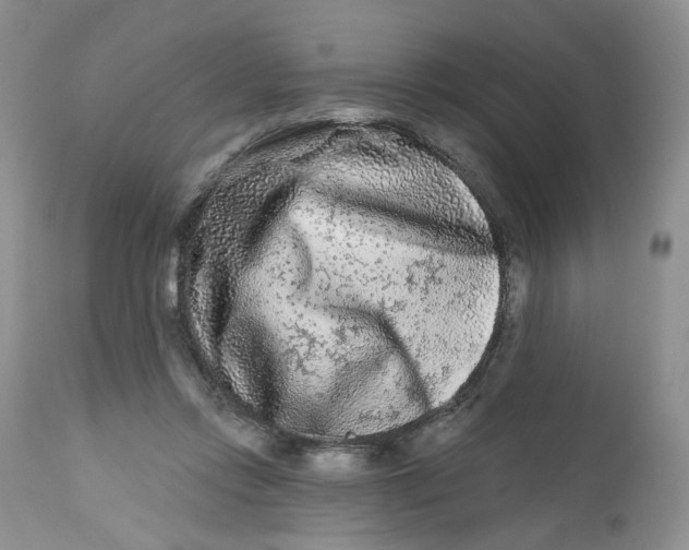 X0000112800358200909111241