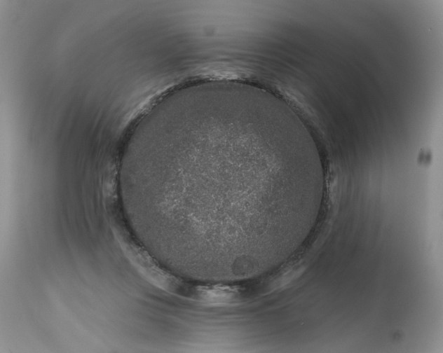 X0000112800359200909111241