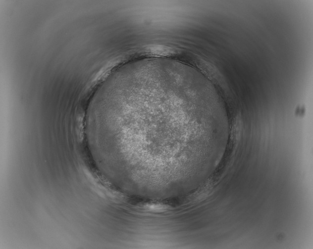 X0000112800360200909111241