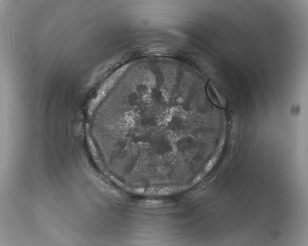 X0000112800361200909111241