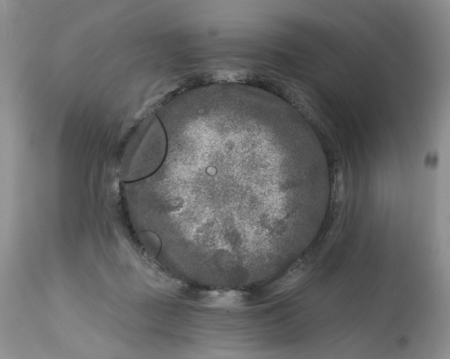 X0000112800363200909111241