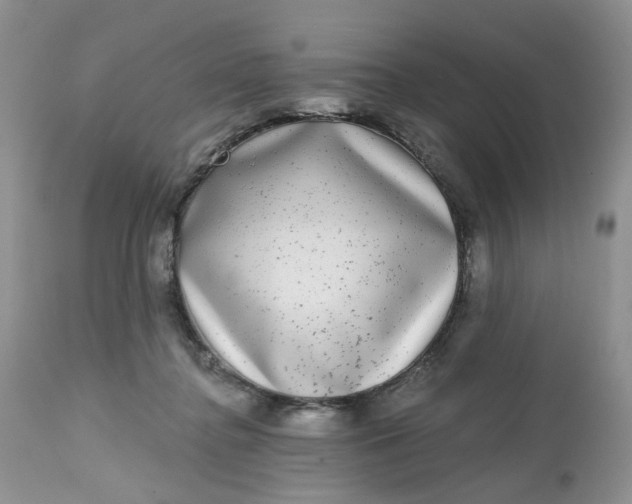 X0000112800364200909111241