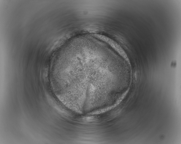 X0000112800365200909111241