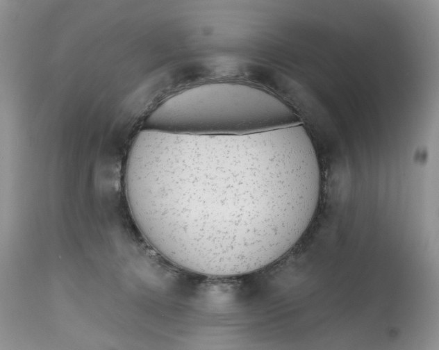 X0000112800368200909111241