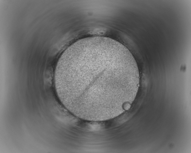 X0000112800370200909111241