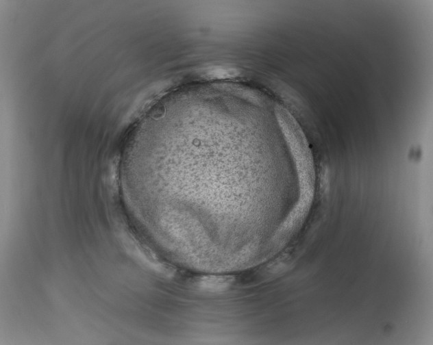 X0000112800373200909111241