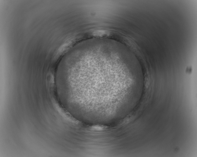 X0000112800375200909111241