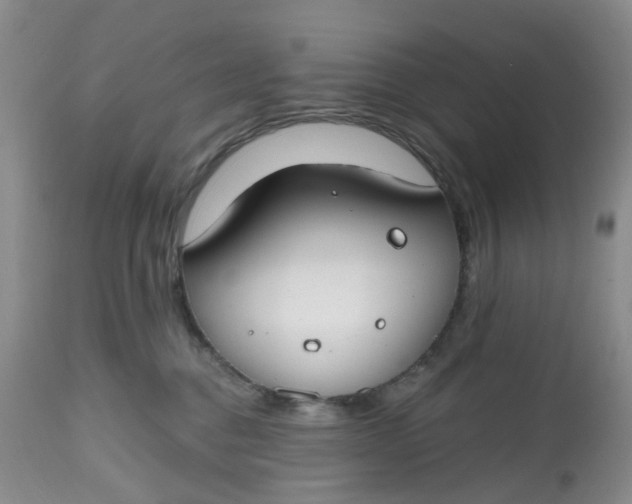 X0000112800376200909111241