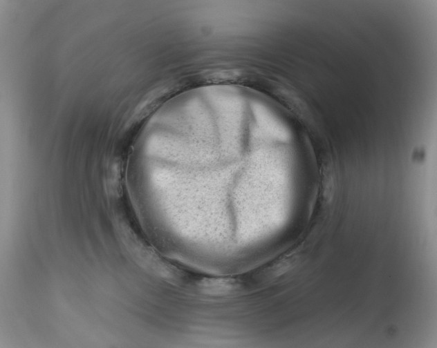 X0000112800378200909111241