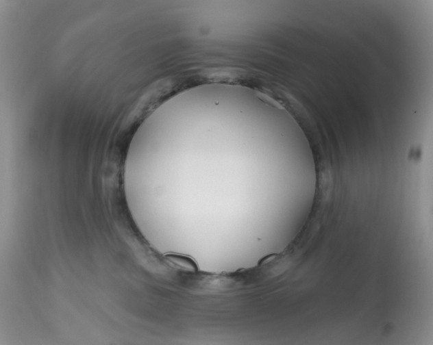 X0000112800379200909111241