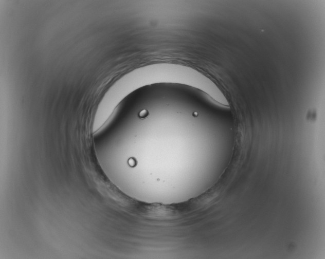 X0000112800380200909111241